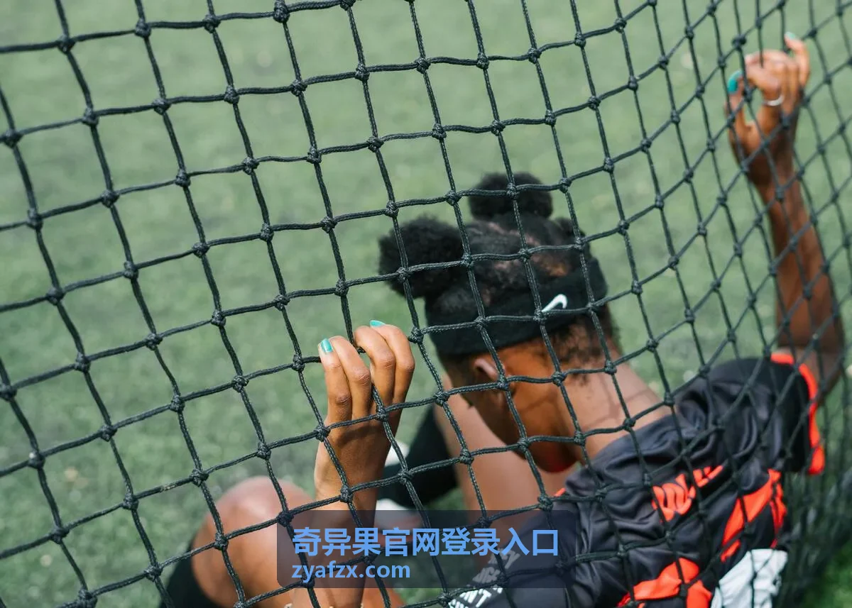 奇异果官网登录入口位置示意